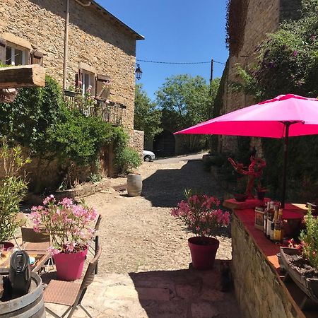 Domaine D'Alcapies Bed & Breakfast Saint-Jean-dʼAlcapiès Dış mekan fotoğraf
