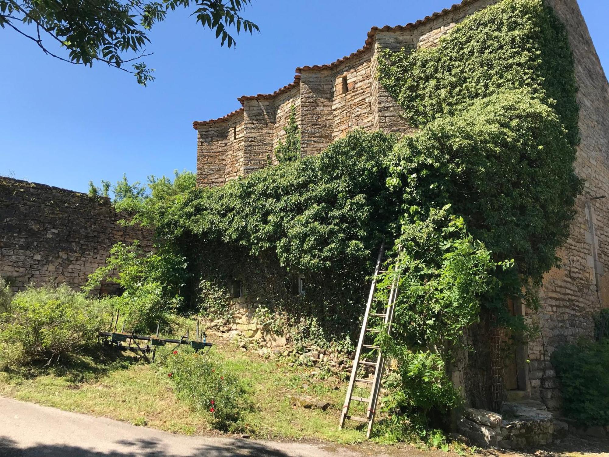 Domaine D'Alcapies Bed & Breakfast Saint-Jean-dʼAlcapiès Dış mekan fotoğraf